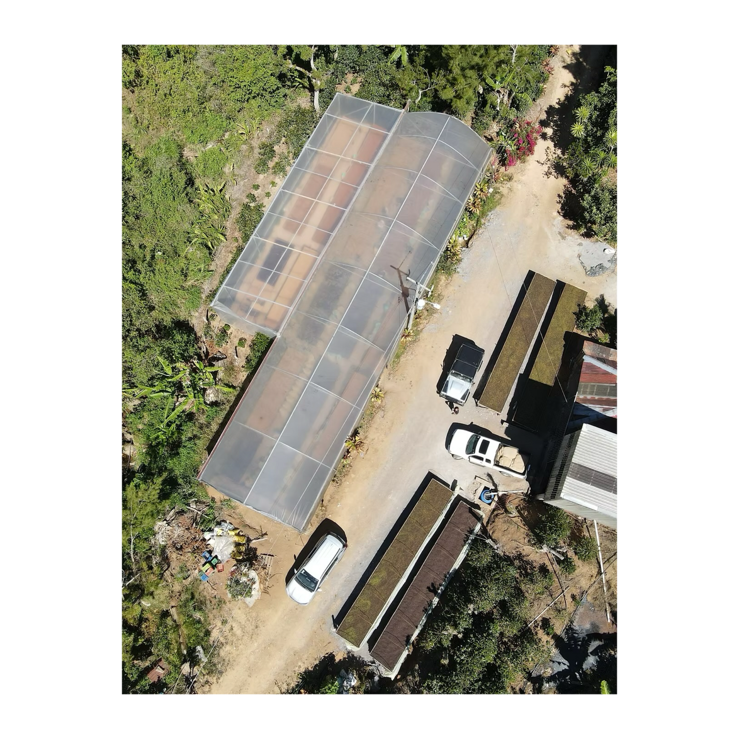 Julekaffe Mediumbrent