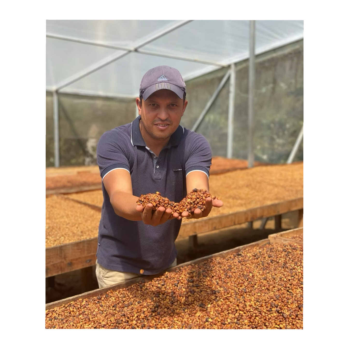 Julekaffe Mediumbrent