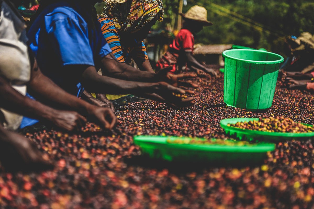 Bombe - Romerike Kaffebrenneri AS