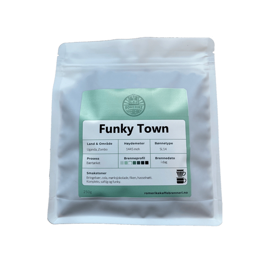 Funky Town